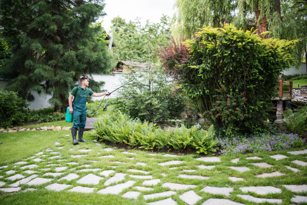 Best Wasp Removal Services  in Kinsey, AL
