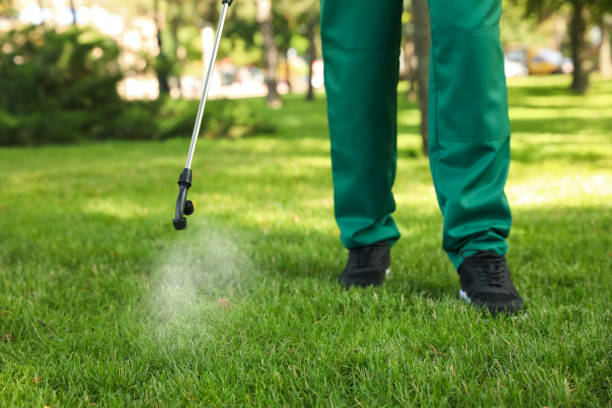 Best Residential Pest Control  in Kinsey, AL