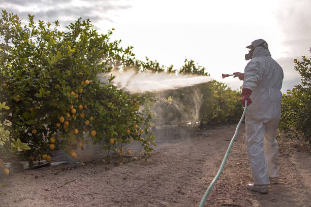 Best Bed Bug Extermination  in Kinsey, AL