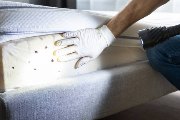 Best Best Pest Control Companies  in Kinsey, AL
